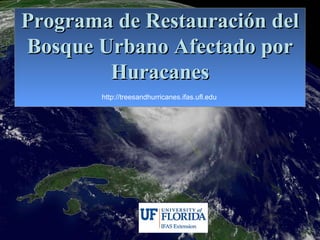 Programa de Restauración del
Bosque Urbano Afectado por
        Huracanes
        http://treesandhurricanes.ifas.ufl.edu
 