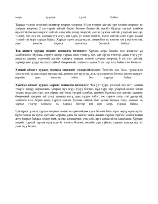 морь                      хурдан                       хүлэг                       байна.                      

Ташаан толгой өгзөгний шонтгор хоёрын хооронд 40 см хэрийн зайтай, урт хөлийн шөрмөс яс 
хоёрын   хооронд   2   см   гаруй   зайтай   босоо   богино   борвитой,   шилбэ   бүдүүн   туурай   хомбон 
ирмэгтэй бөгөөд ширхэг сайтай, сагагийн дотор эвэртэй, салтаа уужим зайтай, ухархай хонхор, 
толгой, чих нүд их, хамрын нүх агуу, чих хурц, үс тачир нимгэн, гэдэс сайтай, соёо хурц, ямаан 
толгойтой морь хурдан байна. Хурдан үрээг шүдлэнд нь хөнгөлбөл яс хөнгөн гоё үзэсгэлэнтэй, 
арьс         нимгэн              наранд            давхихад           боохгүй            байдаг.          

Төв   аймагт   хурдан   морийг   шинжлэн   бичихдээ:  Хурдан   морь   биеийн   том   жижгээс   үл 
холбогдоно. Мундаа, сэрвээ өндөр, гурван овоо тэнцүү, хөх мах өргөн тэнэгэр, аман хүзүү урт 
амьсгал   аажим,   сүвээний   адгийн   хавирга   ташаан   толгой   хоёрын   хооронд   6   см   урт   зайтай, 
харвирганы үзүүр матлага сайтай бөөрөнхий, хошного цаана 5 см хэр хол байна гэж бичжээ.  

Хэнтий   аймагт   хурдан   морины   шинжийг   тодорхойлохдоо:  Толгойн   мах   бага,   гурвалжин 
хөмсөгтэй, зузаан өндөр мундаатай, дөрвөн хөл шулуун, дэл, сүүл шингэн бөгөөд зөөлөн ширхэг 
нарийн         арьс         нимгэн      элбэг        бол        хурдан           байна.          

Хөвсгөл аймагт хурдан морийг шинжлэн бичихдээ: Чих урт хурц, үнэгний чих мэт, магнай 
тэнүүн хошуу дөрвөлжин, хамрын нүх агуу, хүзүү богино, нүд хурц хар, ухархай өндөр зовхи 
зузаан, шүд соёо урт, хол ойрын зай тэгш, туурай хомбон, шөрмөс бүлхэнд хол зайтай, хавирга 
бөөрөнхий завсрын  зай дунд хавирга илүү,  арьс уудам элбэг,  зоо сэрвээ тэгш,  гоё  дугаргий, 
хошного   хол,   борви   шанд   хүртэл   махлаг   булчин   сайтай,   бие   зузаан   бөгөөд   тэгш,  өмнөөс   нь 
харвал   гэдгэр   хойноос   нь   харвал   бөгтөр   юм   шиг   морь   хурдан   байна.  

Эдгээрээс үзэхэд хурдан морины шинж нь ерөнхийдөө адил боловч бага зэрэг зөрүү орон нутаг 
бүрд байгаа нь нутаг нутгийн морины удам ба дасгал хийж давхил сурсан зэргээс холбогдохын 
дээр газрын байдал, өндөр нам, ус өвс ялгавартай, уяж сойх арга ялгаатай нь харагдана. Хурдан 
морийг хуртай тарган оруулахгүйг хичээх боловч, өвлийн дүн хүйтэн, хаврын хавсарганд их 
унах муу болно. 
 