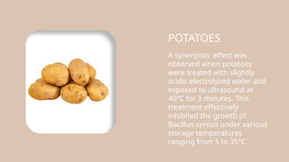 POTATOES
A synergistic effect was
observed when potatoes
were treated with slightly
acidic electrolyzed water and
exposed to ultrasound at
40°C for 3 minutes. This
treatment effectively
inhibited the growth of
Bacillus cereus under various
storage temperatures
ranging from 5 to 35°C.
 