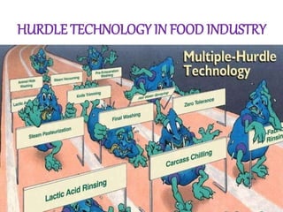 HURDLE TECHNOLOGY IN FOOD INDUSTRY
AnsariSana
 