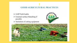 hurdle technology.pdf