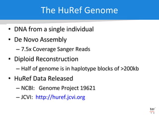 DNA from a single individual De Novo Assembly 7.5x Coverage Sanger Reads Diploid Reconstruction Half of genome is in haplotype blocks of >200kb HuRef Data Released NCBI:  Genome Project 19621 JCVI:  http://huref.jcvi.org   The HuRef Genome 