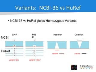 Variants:  NCBI-36 vs HuRef NCBI-36 vs HuRef yields Homozygous Variants SNP MNP Insertion Deletion NCBI HuRef variant: G/A variant: TA/AT variant: variant: 