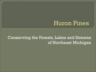 Conserving the Forests, Lakes and Streams of Northeast Michigan 