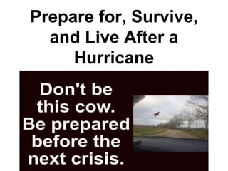 Prepare for, Survive,
and Live After a
Hurricane
 
