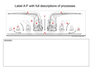 Label A-F with full descriptions of processes RESONSE:  