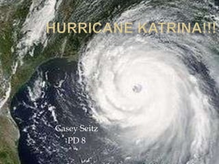 Hurricane Katrina!!! Casey Seitz PD 8 