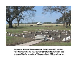 When the water finally receded, debris was left behind.
This farmer’s home was swept off of its foundation and
dropped in the middle of his cane field 200 yards away.
 
