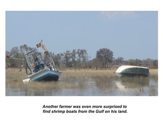 Another farmer was even more surprised to
find shrimp boats from the Gulf on his land.
 