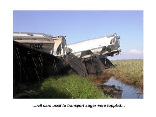 …rail cars used to transport sugar were toppled…
 