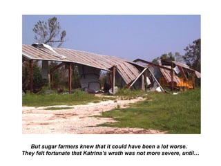 But sugar farmers knew that it could have been a lot worse.
They felt fortunate that Katrina’s wrath was not more severe, until…
 