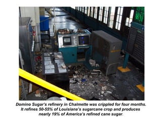 Domino Sugar’s refinery in Chalmette was crippled for four months.
It refines 50-55% of Louisiana’s sugarcane crop and produces
nearly 19% of America’s refined cane sugar.
 