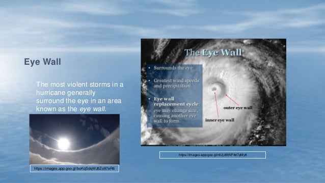 Hurricanes, Cyclones, and Typhoons 6.3
