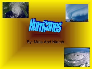 By: Maia And Niamh  Hurricanes 
