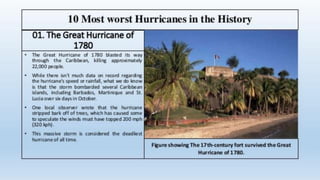 Hurricanes Slide share