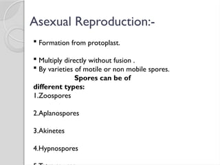 Asexual Reproduction:-
 Formation from protoplast.
 Multiply directly without fusion .
 By varieties of motile or non mobile spores.
Spores can be of
different types:
1.Zoospores
2.Aplanospores
3.Akinetes
4.Hypnospores
 