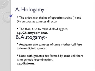  The unicellular thallus of opposite strains (-) and
(+) behaves as gametes directly.
 The thalli fuse to make diploid zygote.
e.g., Chlamydomonas.
A. Hologamy:-
B.Autogamy:-
 Autogamy two gametes of same mother cell fuse
to form diploid zygote.
 Since both gametes are formed by same cell there
is no genetic recombination.
e.g., diatoms.
 