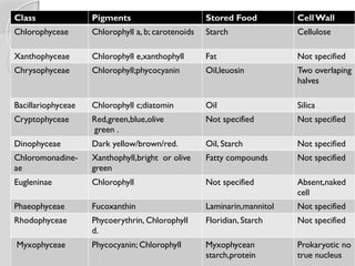 Class Pigments Stored Food Cell Wall
Chlorophyceae Chlorophyll a, b; carotenoids Starch Cellulose
Xanthophyceae Chlorophyll e,xanthophyll Fat Not specified
Chrysophyceae Chlorophyll;phycocyanin Oil,leuosin Two overlaping
halves
Bacillariophyceae Chlorophyll c;diatomin Oil Silica
Cryptophyceae Red,green,blue,olive
green .
Not specified Not specified
Dinophyceae Dark yellow/brown/red. Oil, Starch Not specified
Chloromonadine-
ae
Xanthophyll,bright or olive
green
Fatty compounds Not specified
Eugleninae Chlorophyll Not specified Absent,naked
cell
Phaeophyceae Fucoxanthin Laminarin,mannitol Not specified
Rhodophyceae Phycoerythrin, Chlorophyll
d.
Floridian, Starch Not specified
Myxophyceae Phycocyanin; Chlorophyll Myxophycean
starch,protein
Prokaryotic no
true nucleus
 