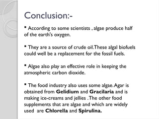 Conclusion:-
 According to some scientists , algae produce half
of the earth's oxygen.
 They are a source of crude oil.These algal biofuels
could well be a replacement for the fossil fuels.
 Algae also play an effective role in keeping the
atmospheric carbon dioxide.
 The food industry also uses some algae.Agar is
obtained from Gelidium and Gracilaria and is
making ice-creams and jellies .The other food
supplements that are algae and which are widely
used are Chlorella and Spirulina.
 