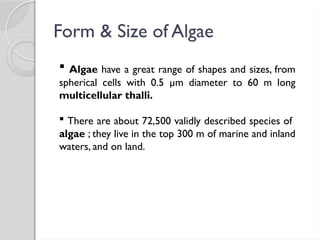 Form & Size of Algae
 Algae have a great range of shapes and sizes, from
spherical cells with 0.5 µm diameter to 60 m long
multicellular thalli.
 There are about 72,500 validly described species of
algae ; they live in the top 300 m of marine and inland
waters, and on land.
 