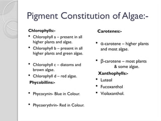 Pigment Constitution of Algae:-
Chlorophylls:-
 Chlorophyll a – present in all
higher plants and algae.
 Chlorophyll b – present in all
higher plants and green algae.
 Chlorophyll c – diatoms and
brown algae.
 Chlorophyll d – red algae.
Phycobillins:-
 Phycocynin- Blue in Colour.
 Phycoerythrin- Red in Colour.
Carotenes:-
 -
α carotene – higher plants
and most algae.
 -
β carotene – most plants
& some algae.
Xanthophylls:-
 Luteol
 Fucoxanthol
 Violaxanthol.
 