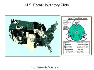 U.S. Forest Inventory Plots
http://www.fia.fs.fed.us/
 