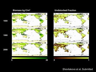 Biomass kg C/m2 Undisturbed Fraction
1900
1800
2000
0 26 0 1
Shevliakova et al, Submitted
 