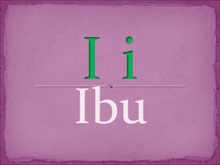 Ibu
 
