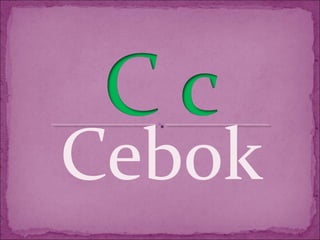 Cebok
 