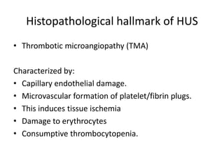 Histopathological hallmark of HUSThrombotic microangiopathy (TMA)Characterized by:Capillary endothelial damage.Microvascular formation of platelet/fibrin plugs.This induces tissue ischemiaDamage to erythrocytesConsumptive thrombocytopenia.