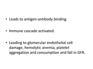 Leads to antigen-antibody binding.Immune cascade activated.Leading to glomerular endothelial cell damage, hemolytic anemia, platelet aggregation and consumption and fall in GFR.