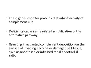 These genes code for proteins that inhibit activity of complement C3b.Deficiency causes unregulated amplification of the alternative pathway.Resulting in activated complement deposition on the surface of invading bacteria or damaged self tissue, such as apoptosed or inflamed renal endothelial cells.