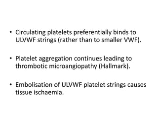 Circulating platelets preferentially binds to ULVWF strings (rather than to smaller VWF).Platelet aggregation continues leading to thrombotic microangiopathy (Hallmark).Embolisation of ULVWF platelet strings causes tissue ischaemia.