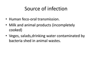 Source of infectionHuman feco-oral transmission.Milk and animal products (incompletely cooked)Veges, salads,drinking water contaminated by bacteria shed in animal wastes.