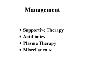 Management
 Supportive Therapy
 Antibiotics
 Plasma Therapy
 Miscellaneous
 