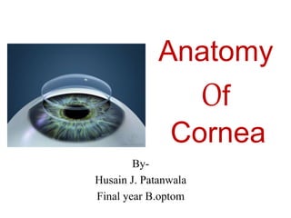 Anatomy
Of
Cornea
By-
Husain J. Patanwala
Final year B.optom
 