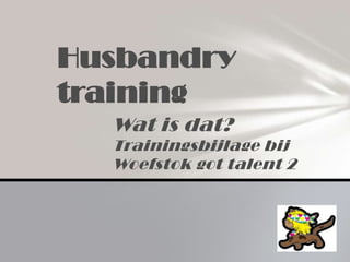 Husbandry
training
  Wat is dat?
  Trainingsbijlage bij
  Woefstok got talent 2
 