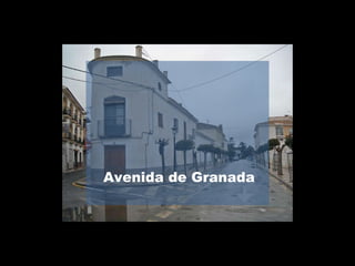 Avenida de Granada