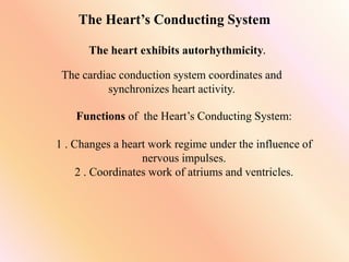 The Heart’s Conducting System
The heart exhibits autorhythmicity.
The cardiac conduction system coordinates and
synchronizes heart activity.
Functions of the Heart’s Conducting System:
1 . Changes a heart work regime under the influence of
nervous impulses.
2 . Coordinates work of atriums and ventricles.
 