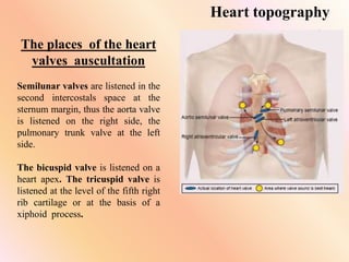 Heart topography
The places of the heart
valves auscultation
Semilunar valves are listened in the
second intercostals space at the
sternum margin, thus the aorta valve
is listened on the right side, the
pulmonary trunk valve at the left
side.
The bicuspid valve is listened on a
heart apex. The tricuspid valve is
listened at the level of the fifth right
rib cartilage or at the basis of a
xiphoid process.
 