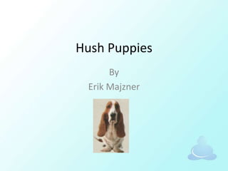 Hush Puppies By Erik Majzner 