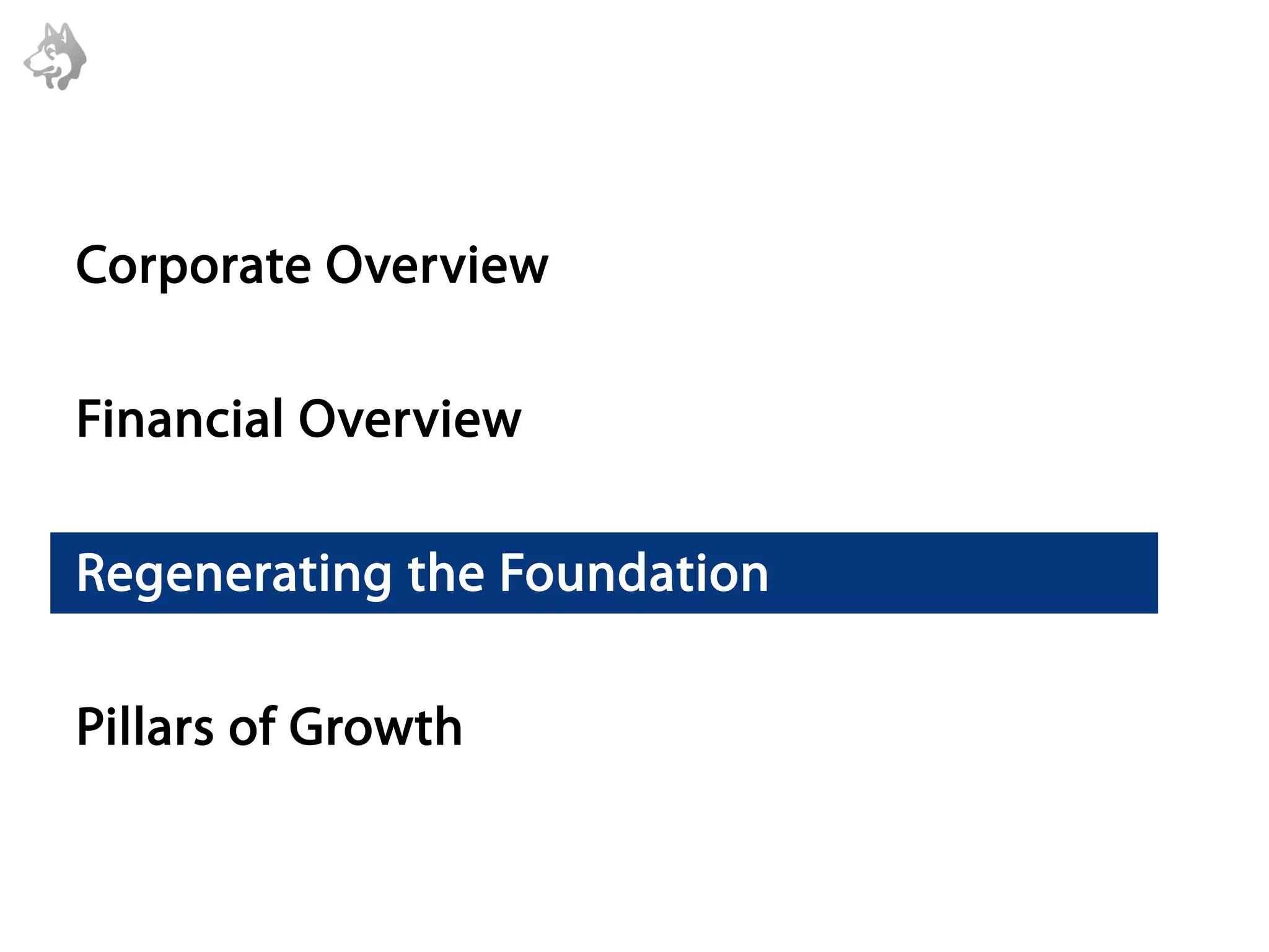 Corporate Overview

Financial Overview

Regenerating the Foundation

Pillars of Growth
 