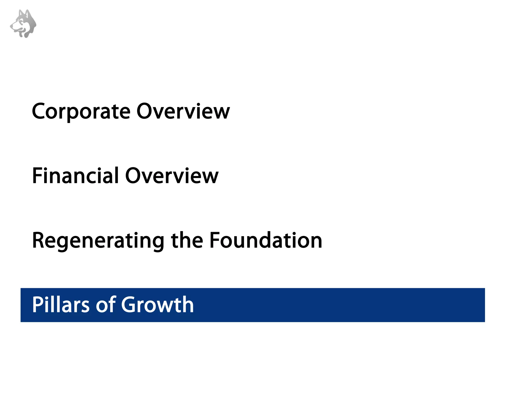 Corporate Overview

Financial Overview

Regenerating the Foundation

Pillars of Growth
 