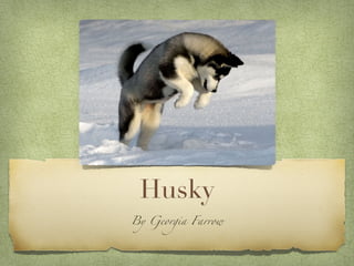 Husky
By Georgia Farrow
 