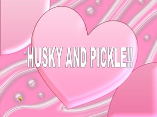 HUSKY AND PICKLE!! 