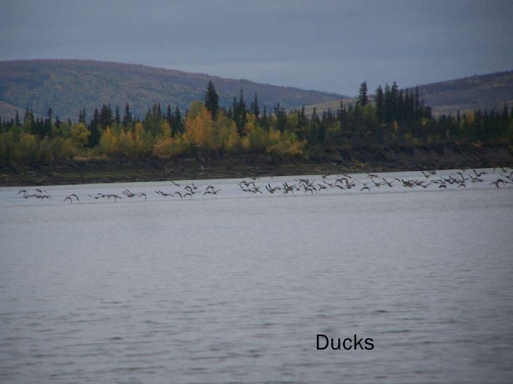 Huslia, Alaska by Angela Gonzalez 910