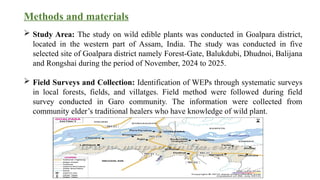 Ethnobotanical Study of Wild Edible Plants Used by the Garo Community ...