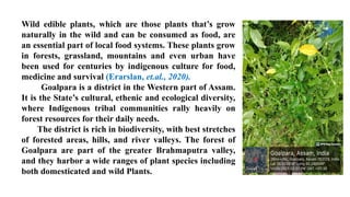 Ethnobotanical Study of Wild Edible Plants Used by the Garo Community ...