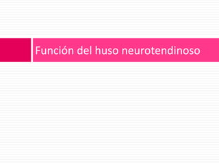 Función del huso neurotendinoso