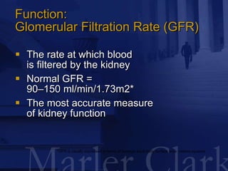 Function:  Glomerular Filtration Rate (GFR) <ul><li>The rate at which blood  is filtered by the kidney </li></ul><ul><li>N...